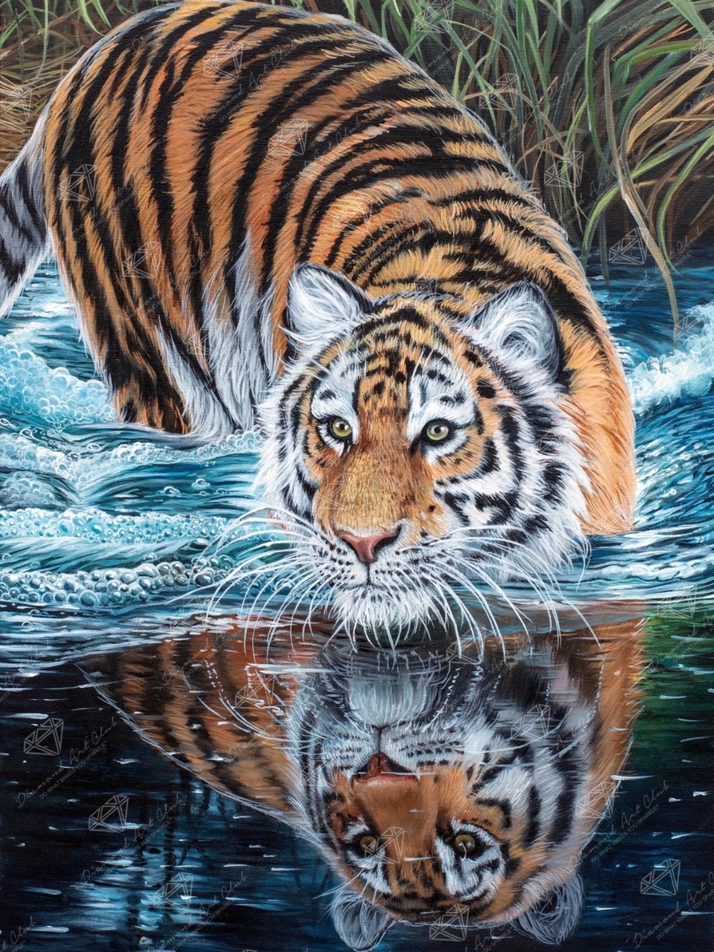 🐅 Rare Retired Diamond Art Club Tiger In Water Dakota Daetwiler Sealed